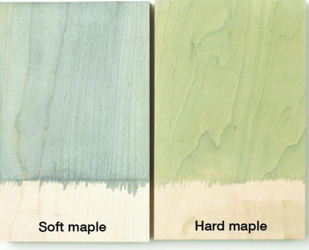 comparing soft maple and hard maple